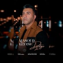 دانلود آهنگ جدید مسعود الیاسی به نام دلگیر